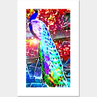 Peacock in Colors Posters and Art